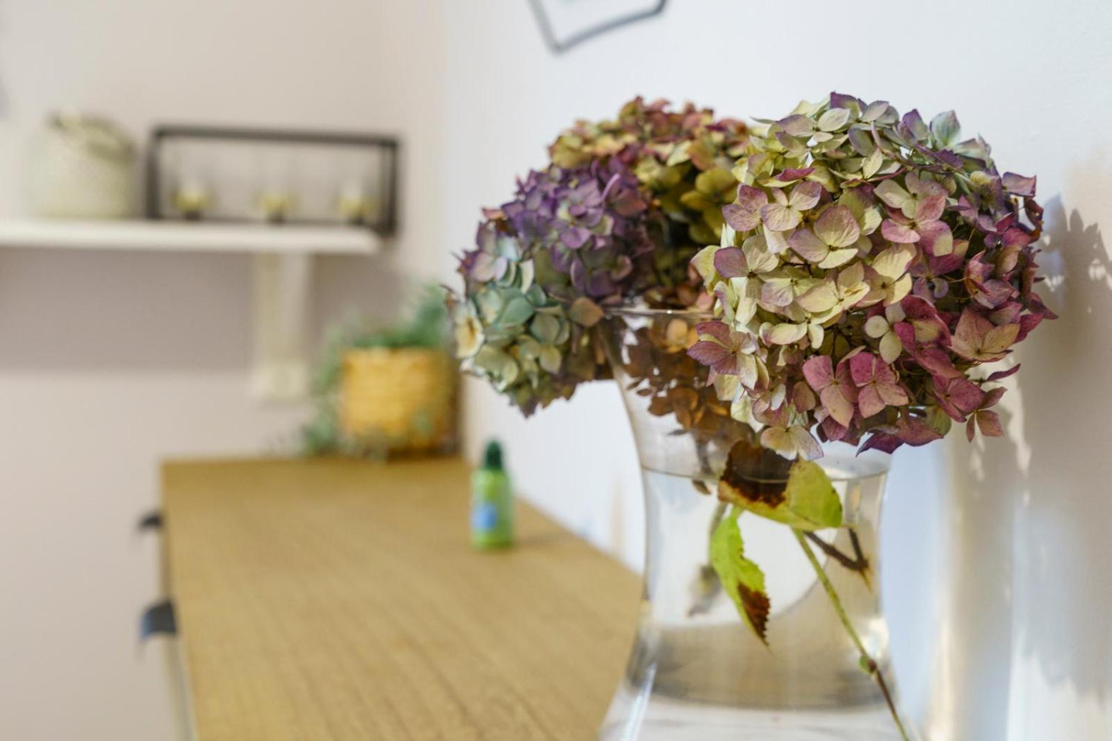 Close To City Centre Stylish 3 Bedroom House Белфаст Екстериор снимка